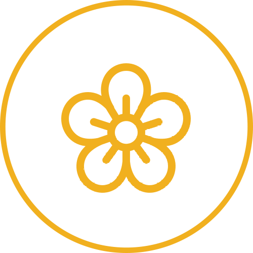Fleur